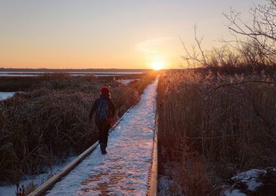 Person walking on boardwalk in winter heading toward the setting sun.