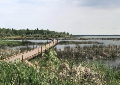 image of the boardwalk heading into the trail.